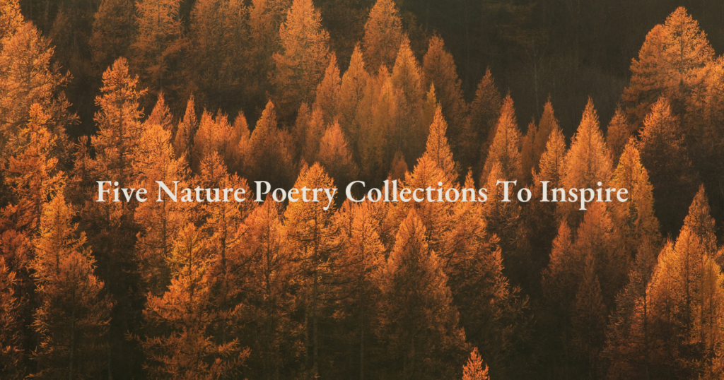 Five Nature Poetry Collections To Inspire