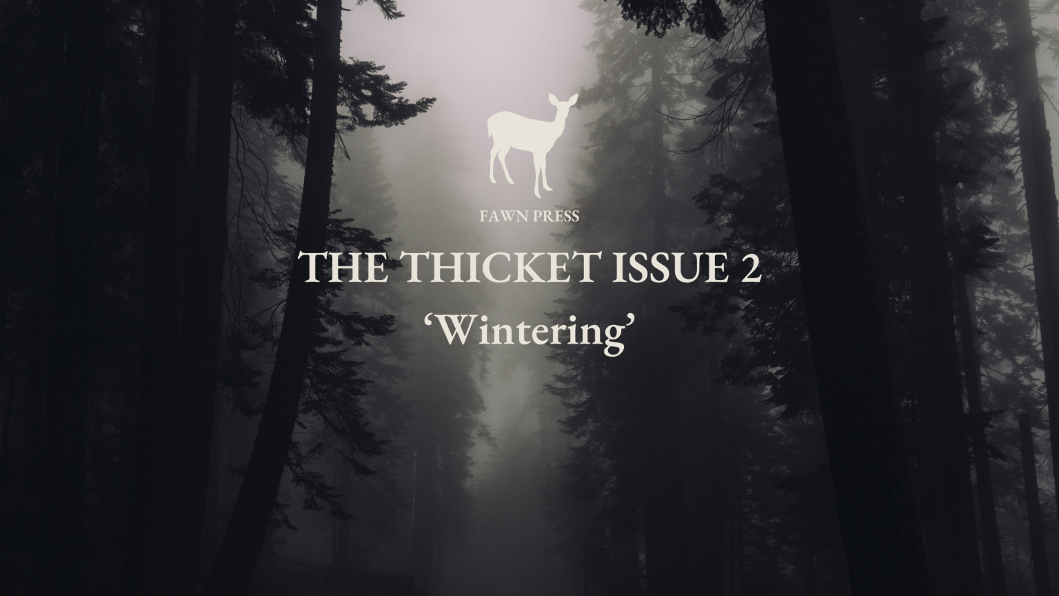 The Thicket 2024 Spring issue. Fawn Press